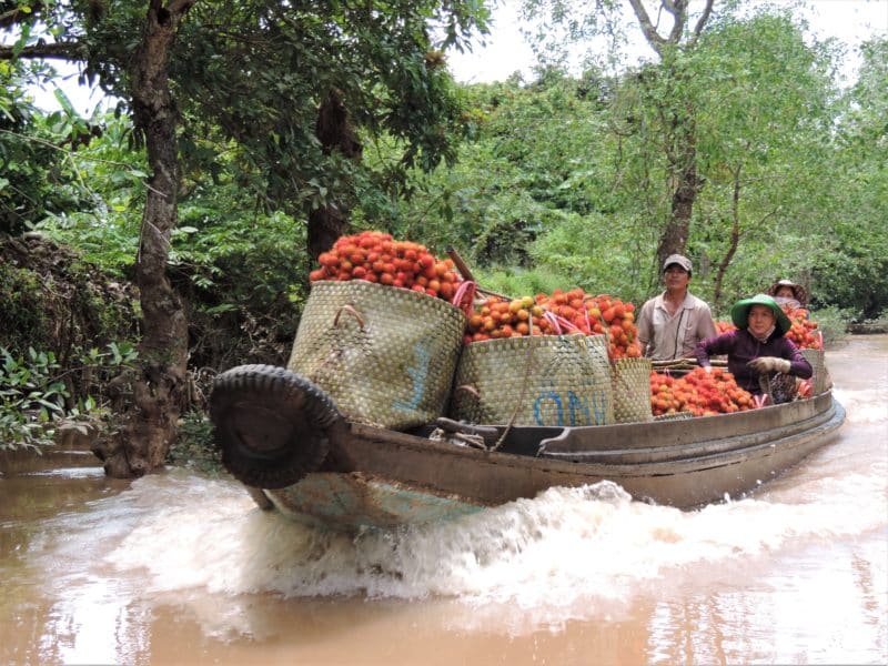 Vietnam in 14 Days: Mekong Delta Fruit canoe with a family on board. Theer are sacks of fruit in the canoe that look orange in colour.