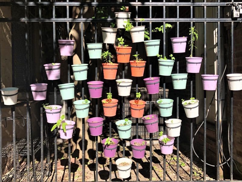 How to spend 72 Hours in Philadelphia