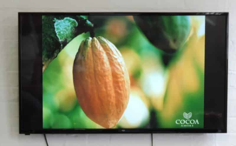 Chocolate Making Workshop at Cocoa Amore, Leicester