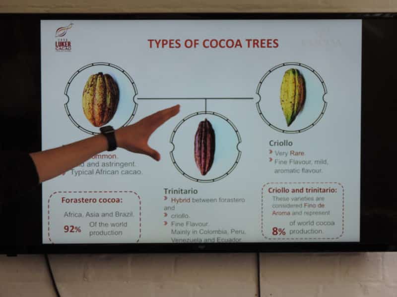 Chocolate Making Workshop at Cocoa Amore, Leicester Chocolate Making Workshop at Cocoa Amore, Leicester