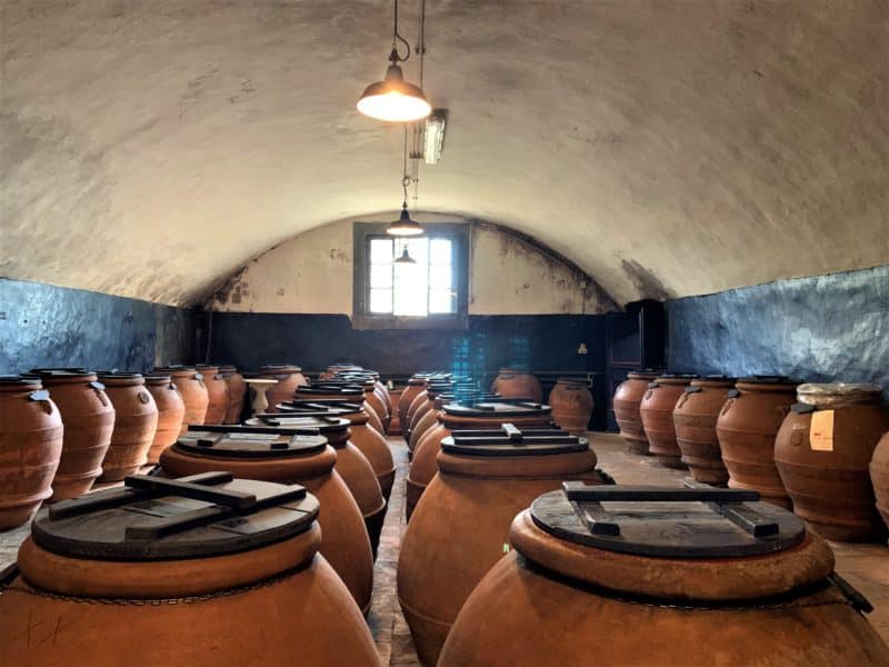 Tuscan Countryside & Wine Estates by Vintage Fiat 500