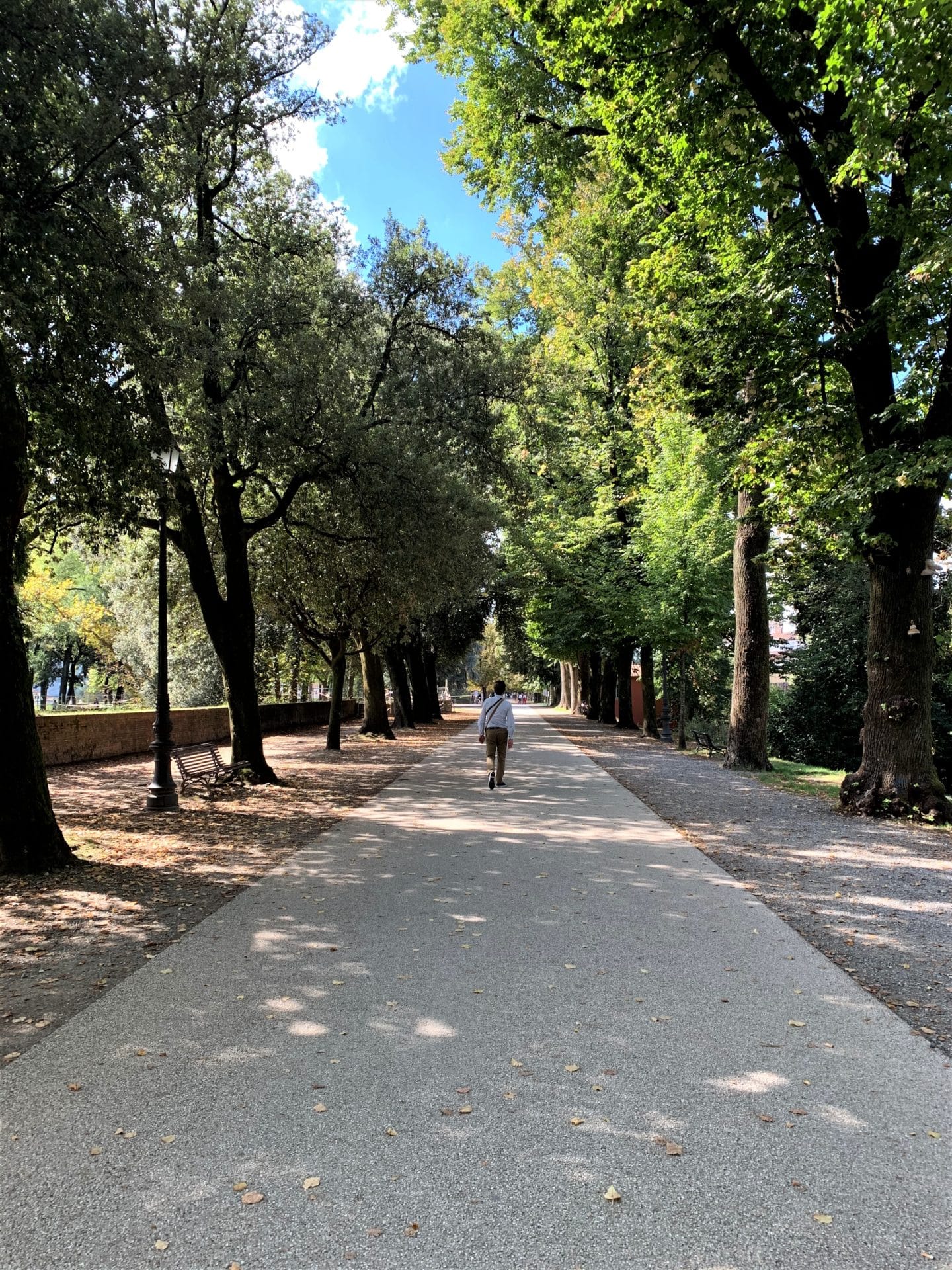 Walking down City Walls in Lucca