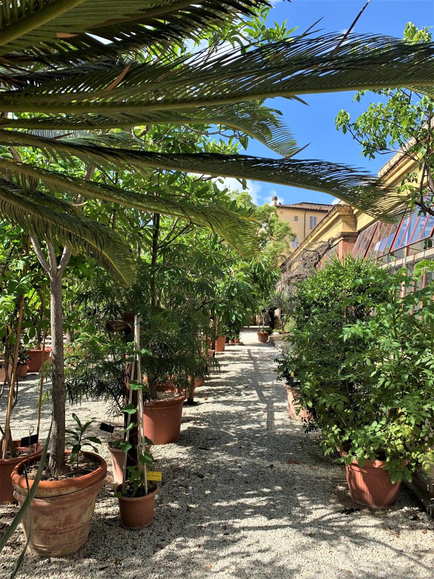 How to Spend a Day in Lucca, Tuscany One day in Lucca Orto Botanico Comunale Di Lucca gardens