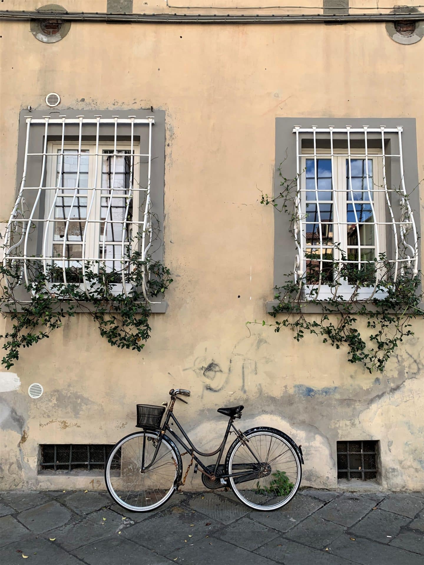 Bicycle against windows in Luvva