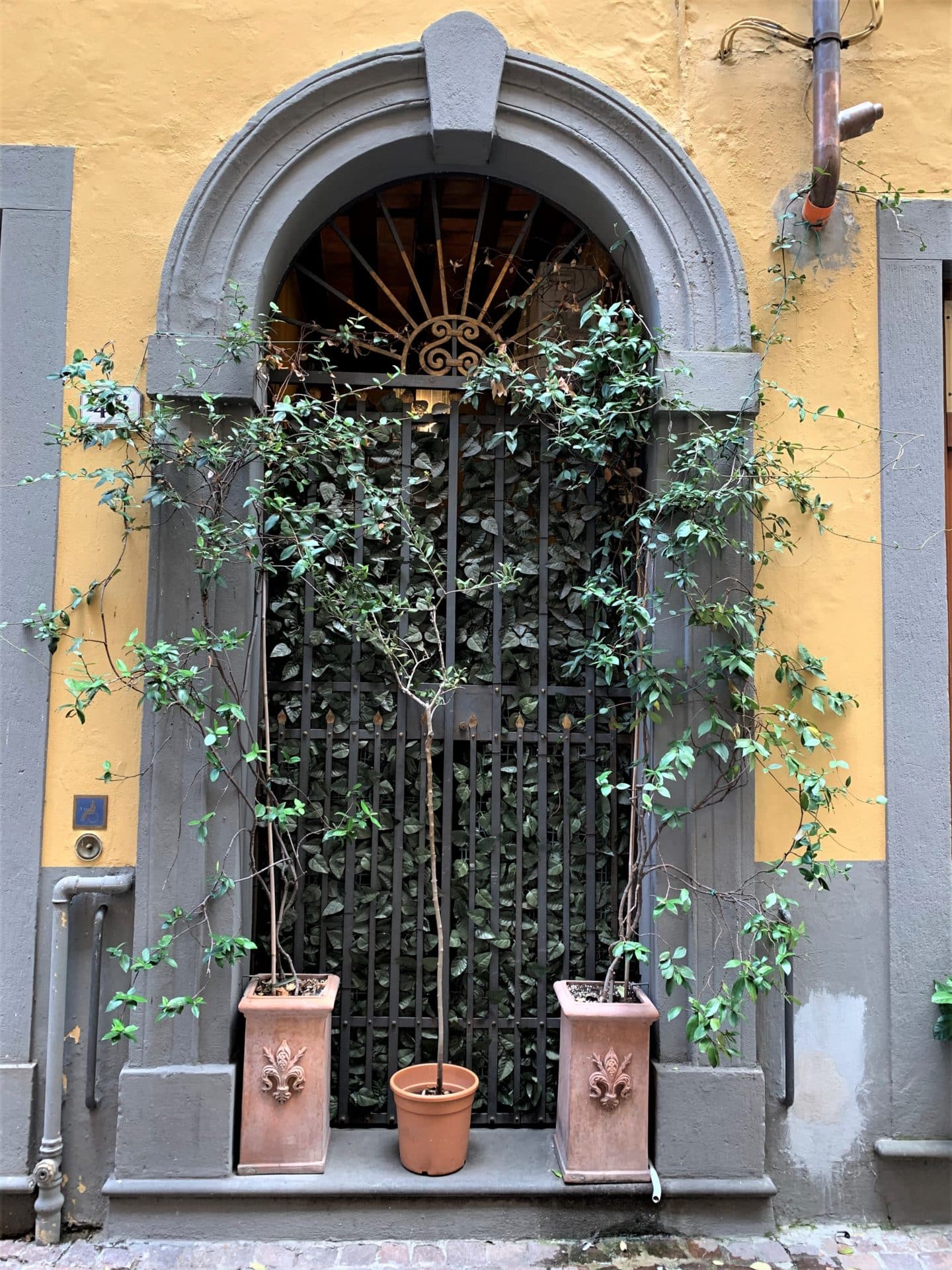 How to Spend a Day in Lucca, Tuscany