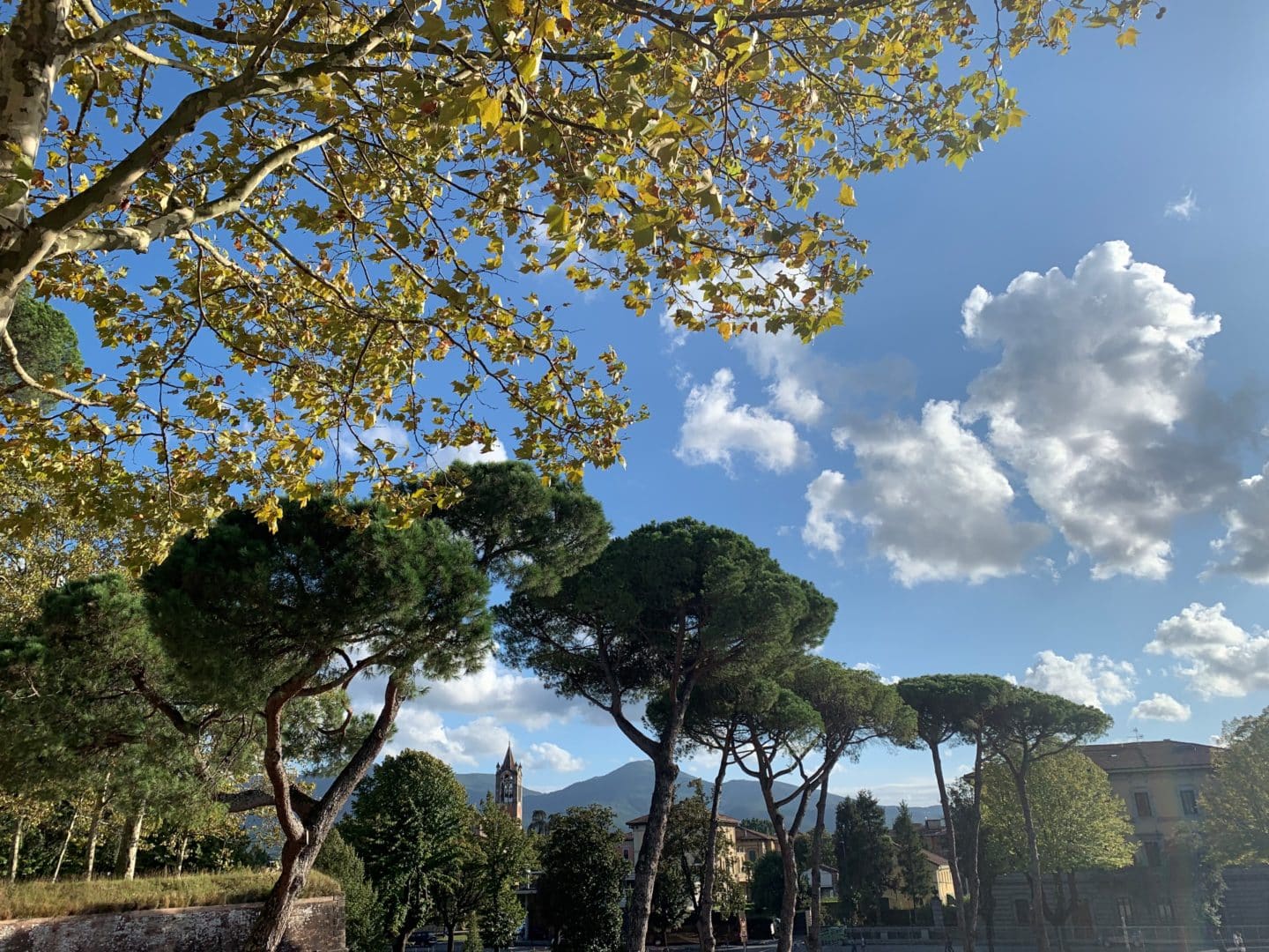Green spaces along city walls