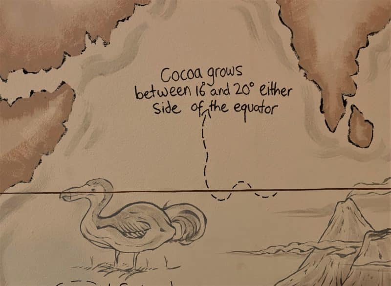 Chocolate Making Workshop at Cocoa Amore, Leicester Chocolate Making Workshop at Cocoa Amore, Leicester