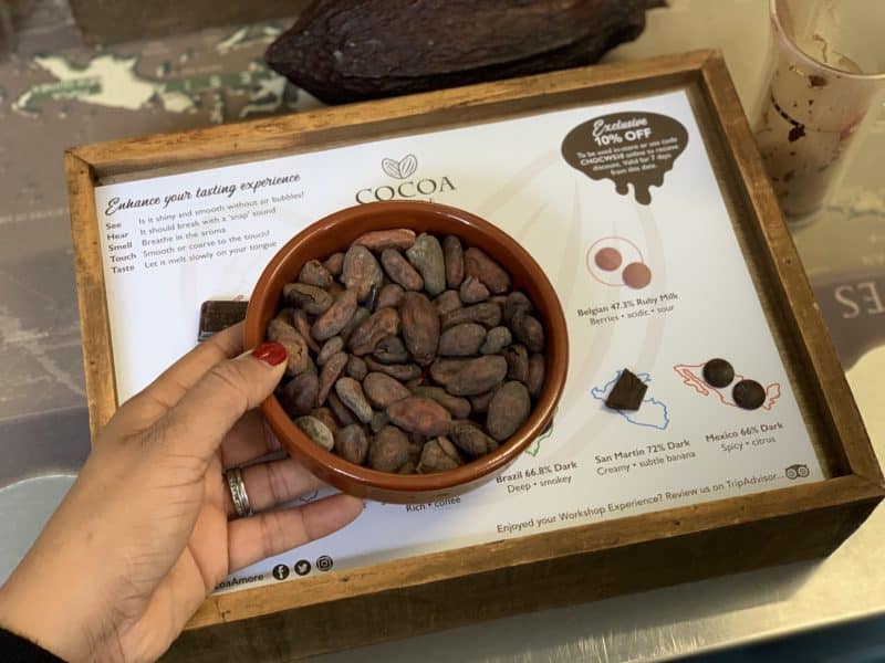 Chocolate Making Workshop at Cocoa Amore, Leicester