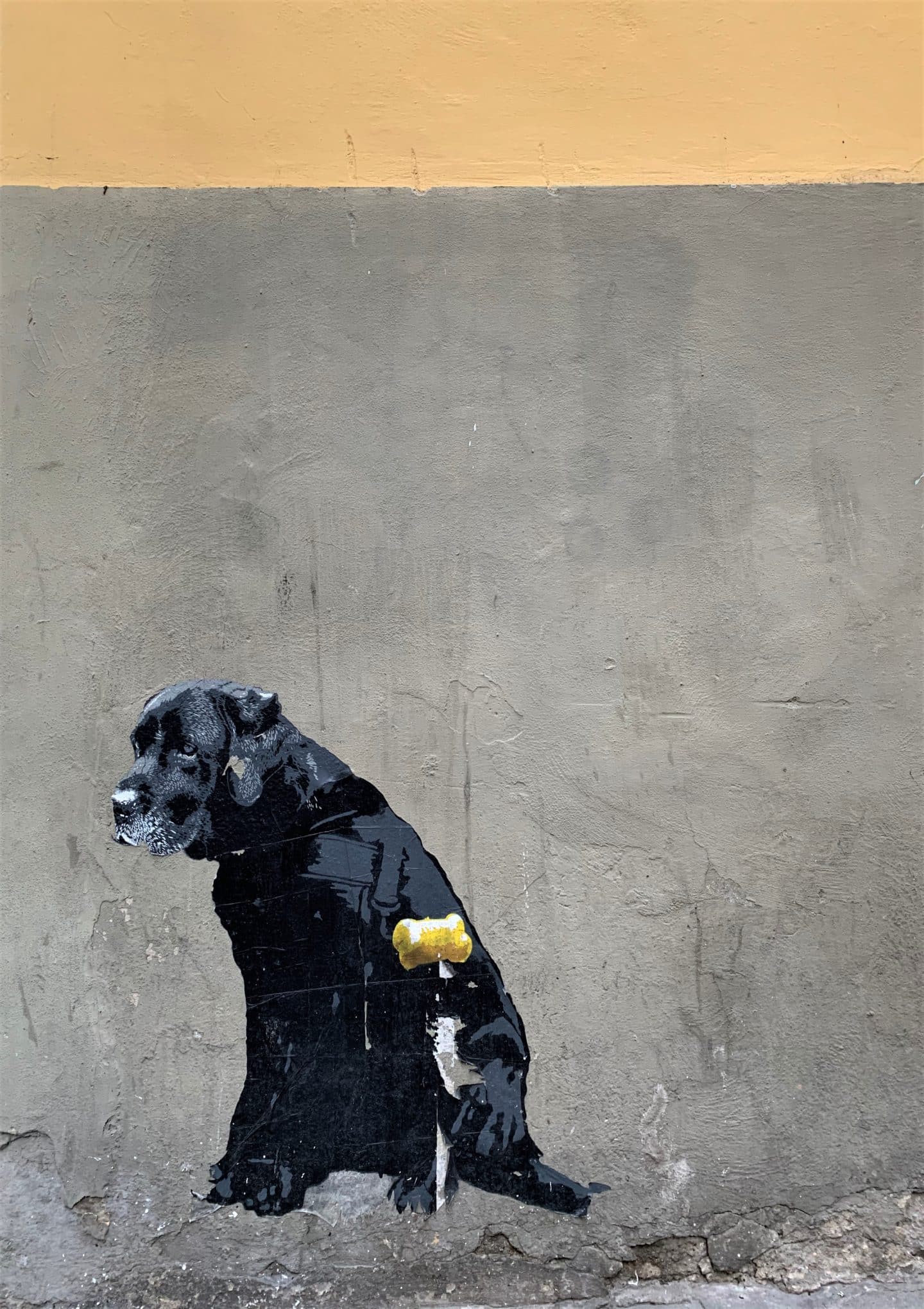 Oltrarno An Artisanal Neighbourhood in Florence: Street art in the area of a black dog