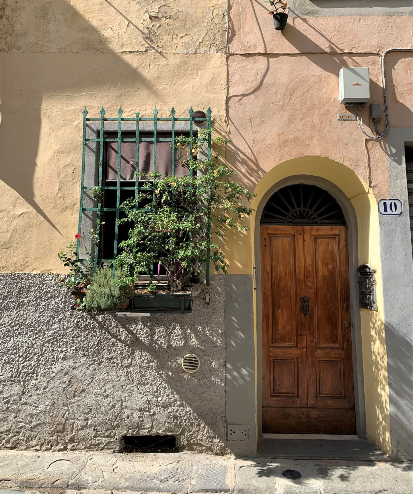Oltrarno An Artisanal Neighbourhood in Florence: A window with plants and a wooden front door on the Oltrarno streets