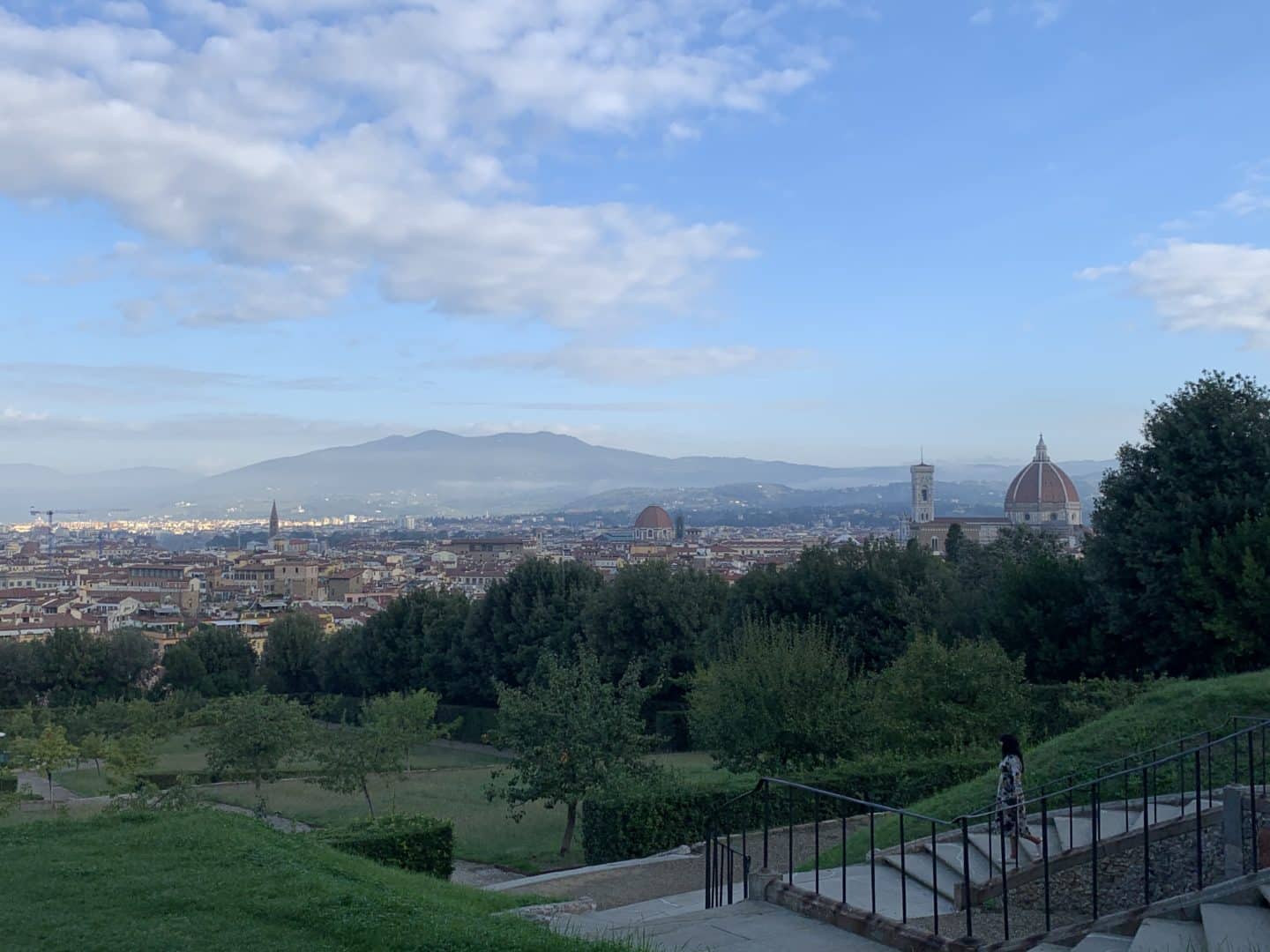  Oltrarno An Artisanal Neighbourhood in Florence: Florence skyline in the background of the Boboli Gardens