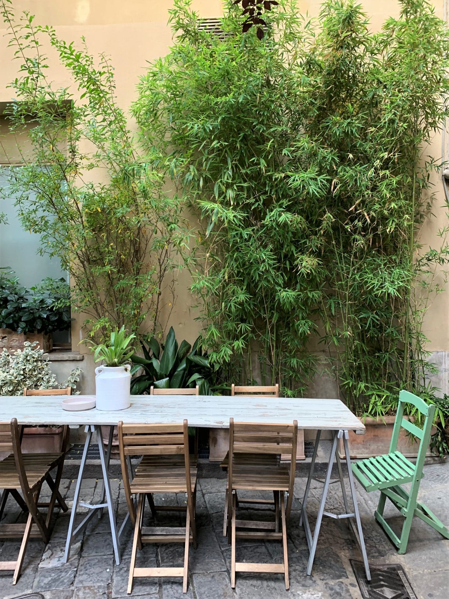 Serre Torrigiani in Piazzetta -Table and outdoor chairs with green plnats in th ebackground.