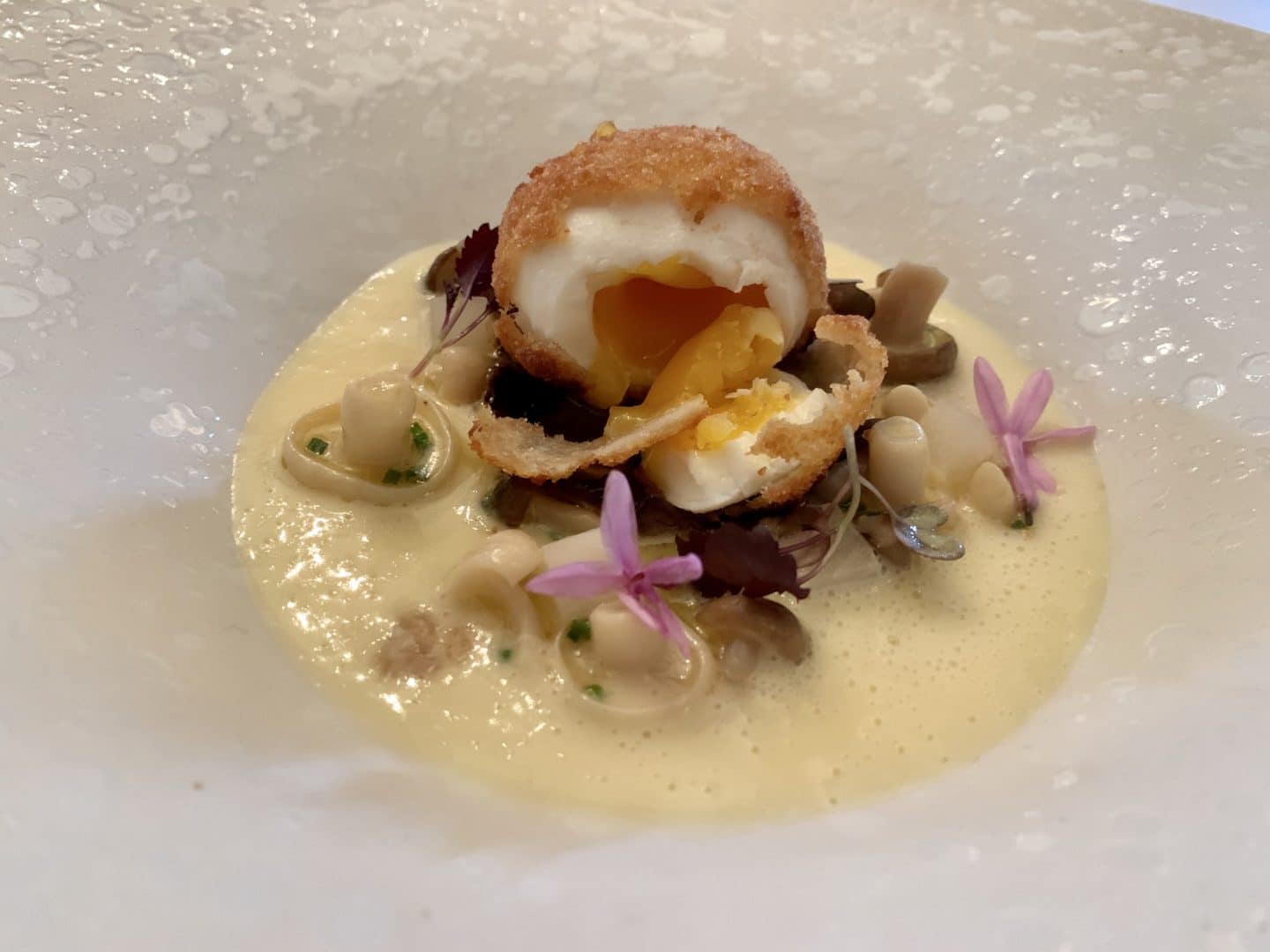 A beautiful pearl and white plate with Turnip Broth, Crispy Hens Egg and Black Garlic. The yolk of teh egg is perfectly runny