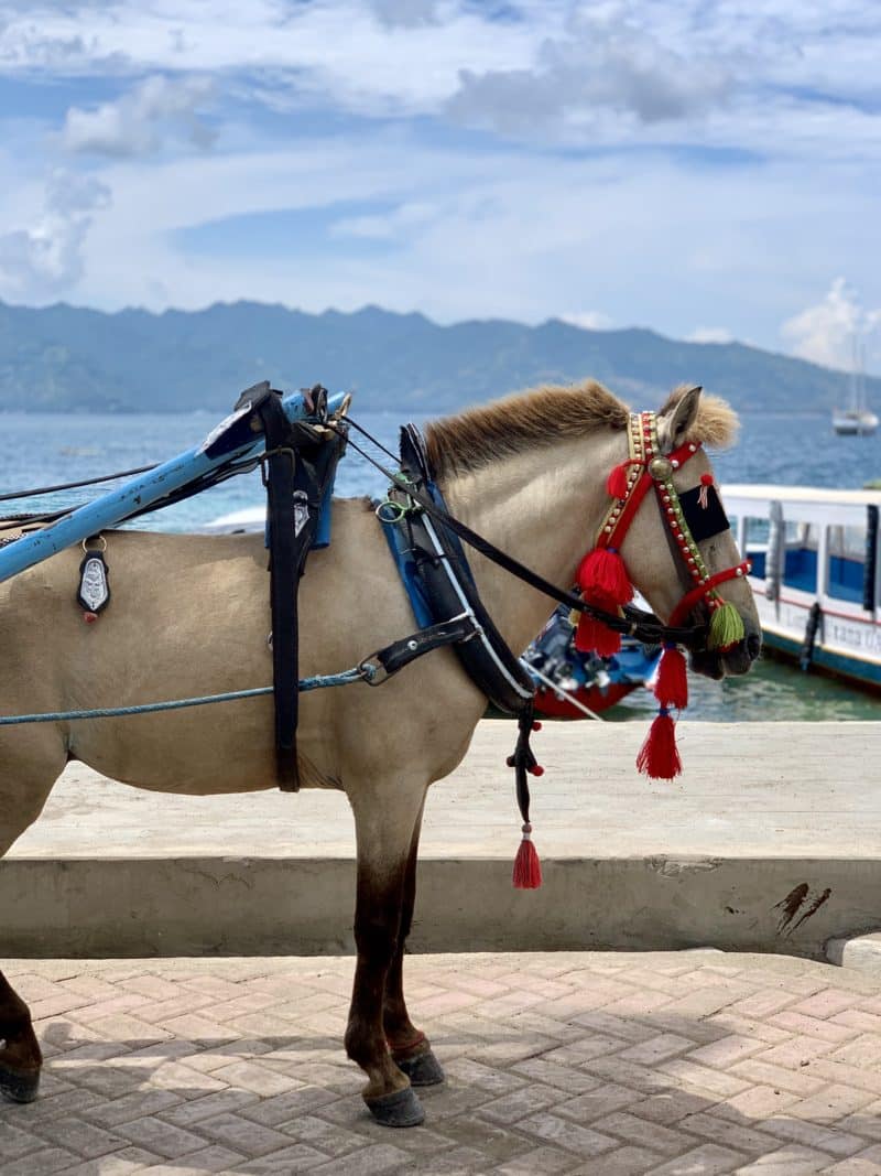 10 Cultural Things to do in Lombok