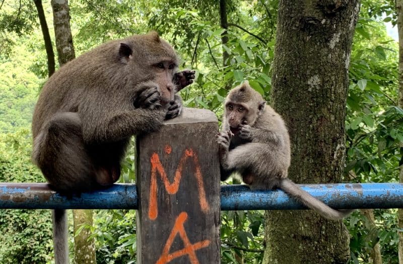 10 Cultural Things to do in Lombok