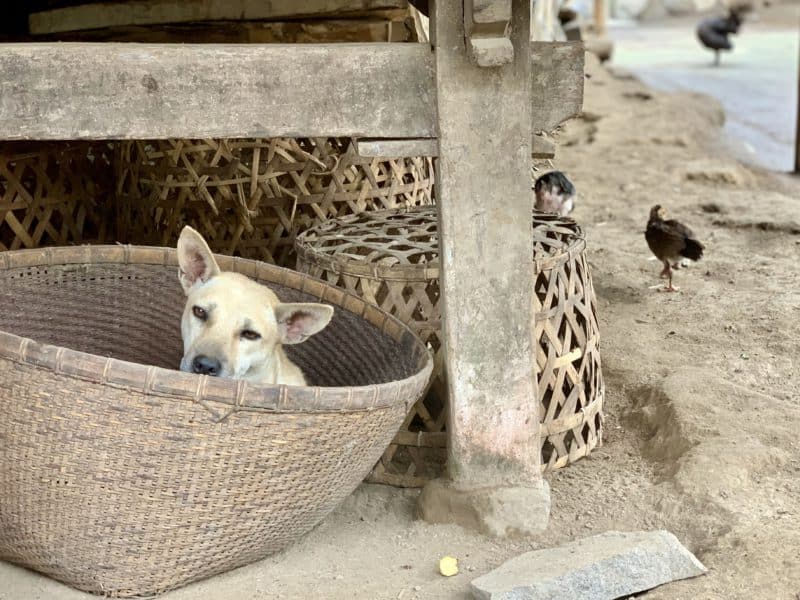 10 Cultural Things to do in Lombok