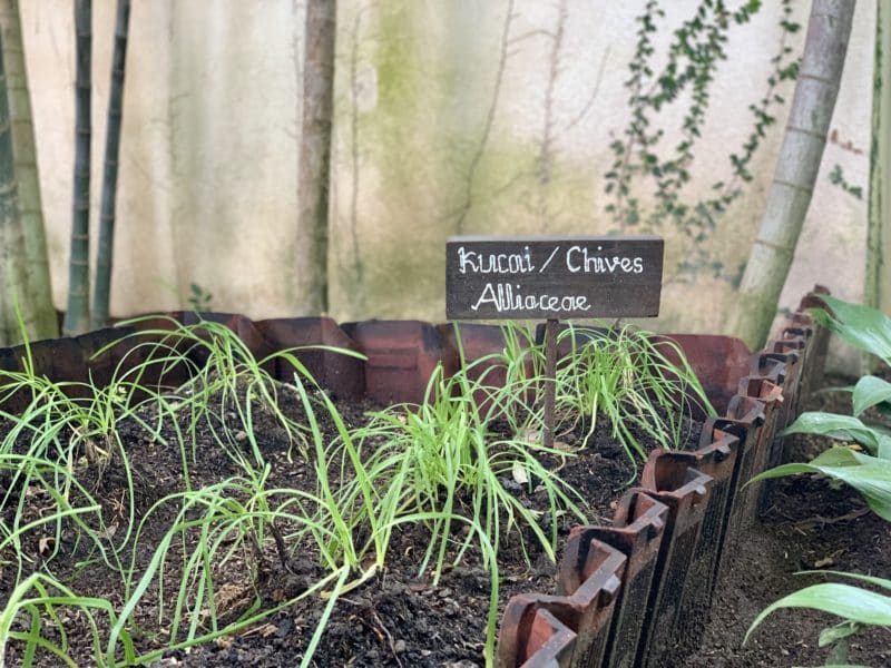 Jeeva Santai Villas: A Sustainable Boutique Hotel in Lombok