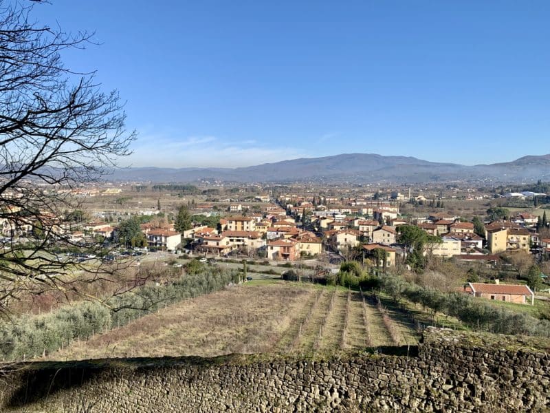 Medicea Park Views of the city