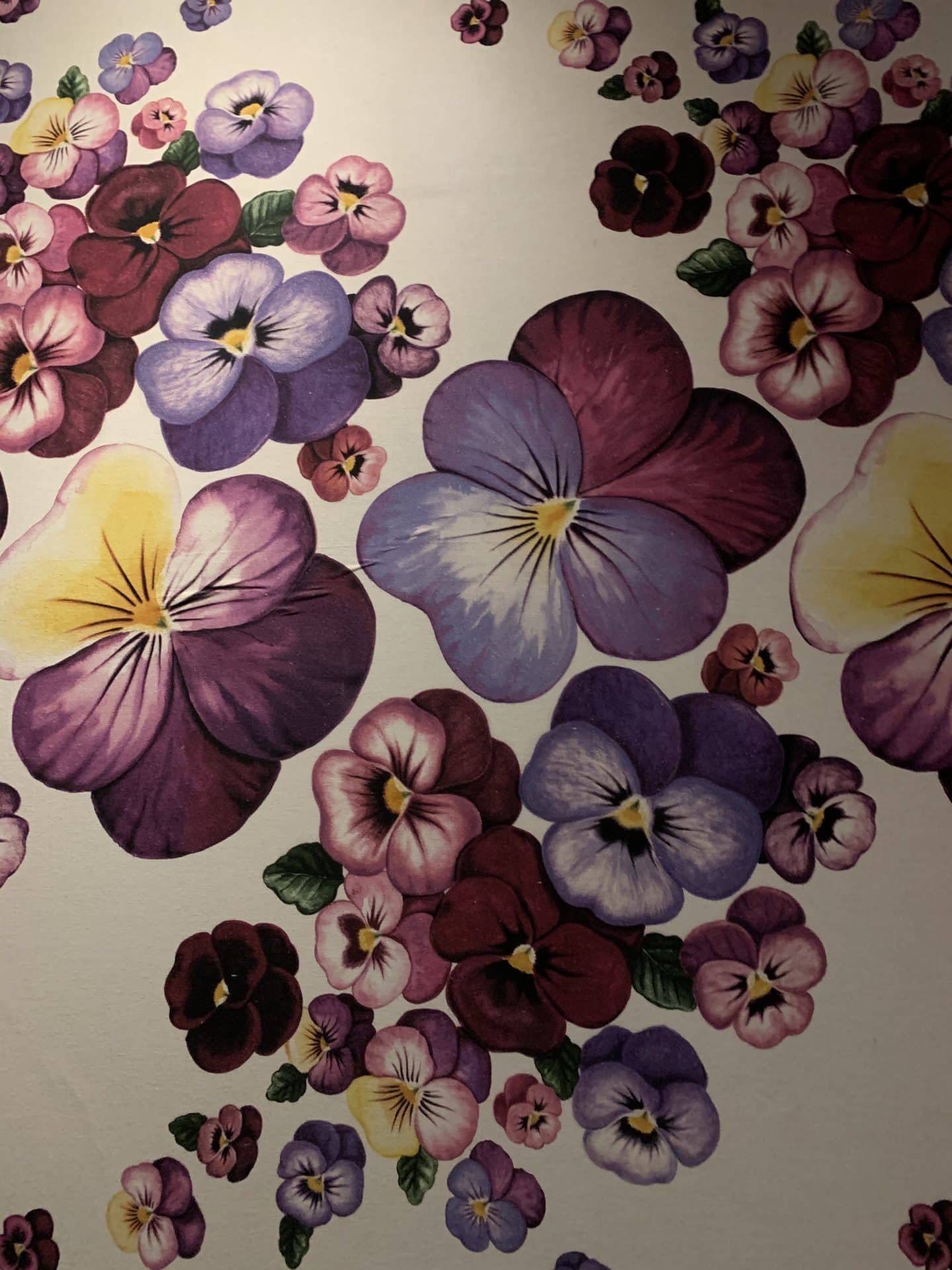 Contemporary Thai Dining at Giggling Squid Leicester