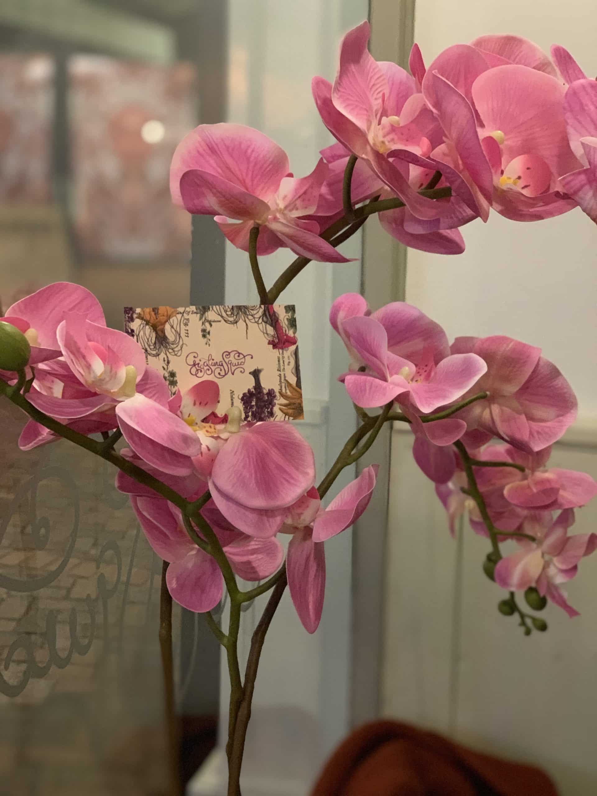 Contemporary Thai Dining at Giggling Squid Leicester