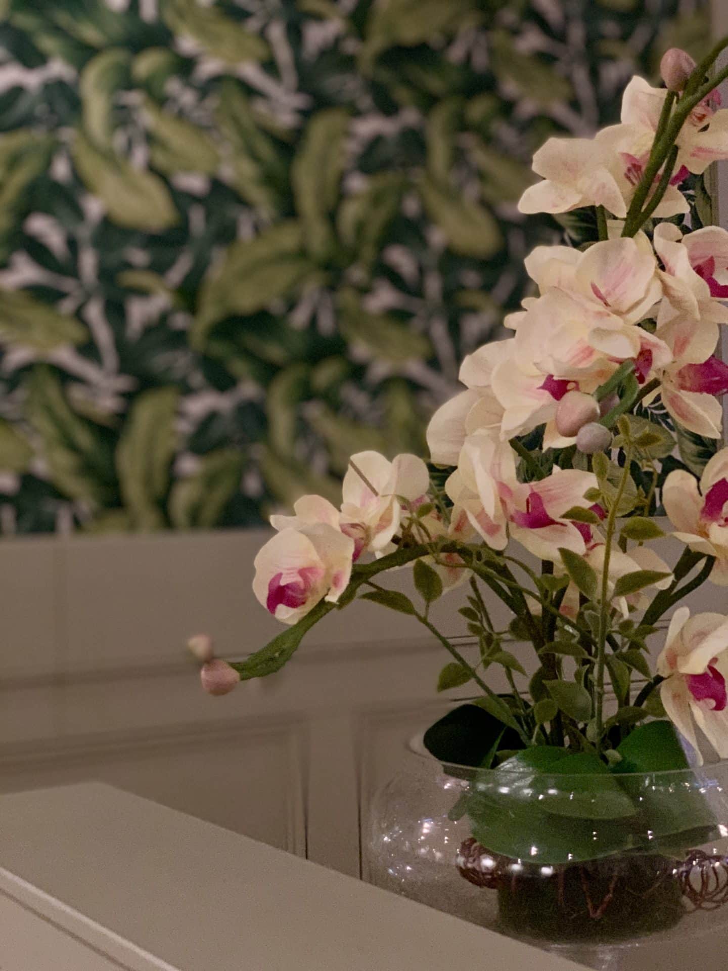 Contemporary Thai Dining at Giggling Squid Leicester