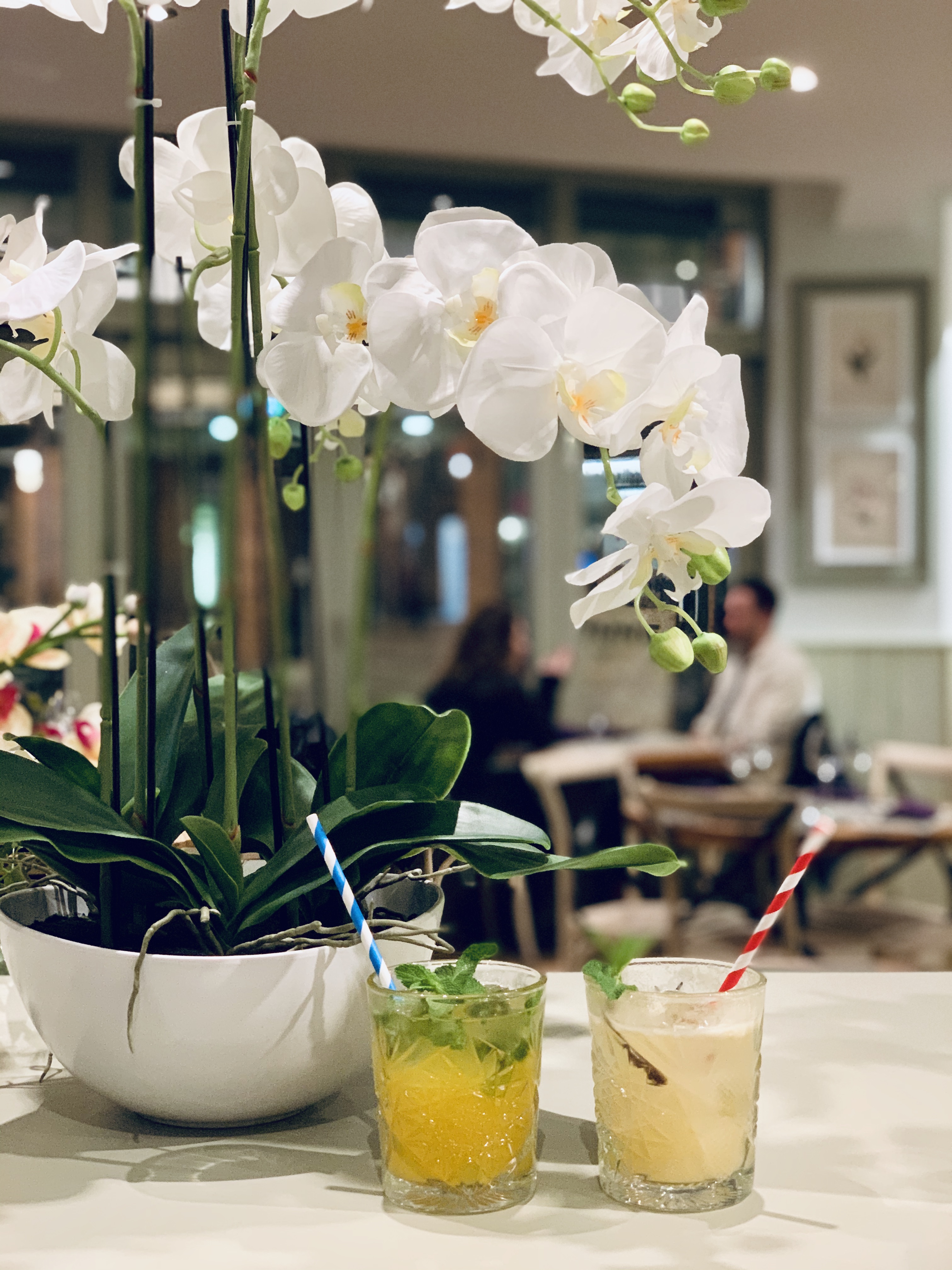 Contemporary Thai Dining at Giggling Squid Leicester