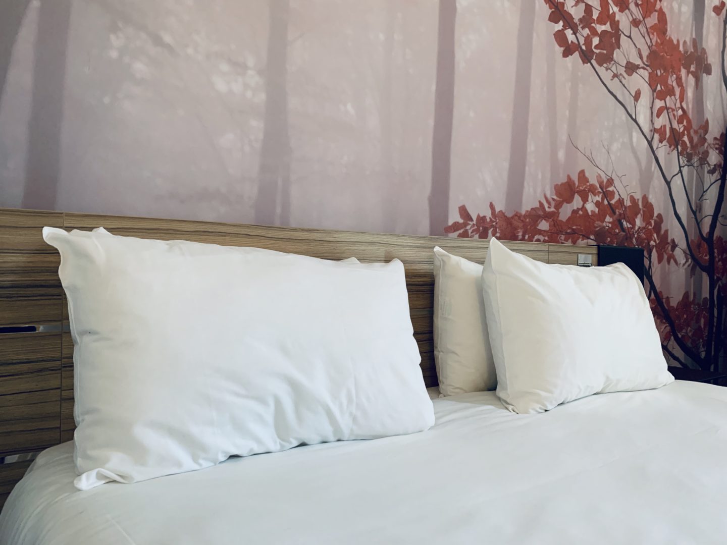 A contemporary Hotel Review: Novotel Leicester