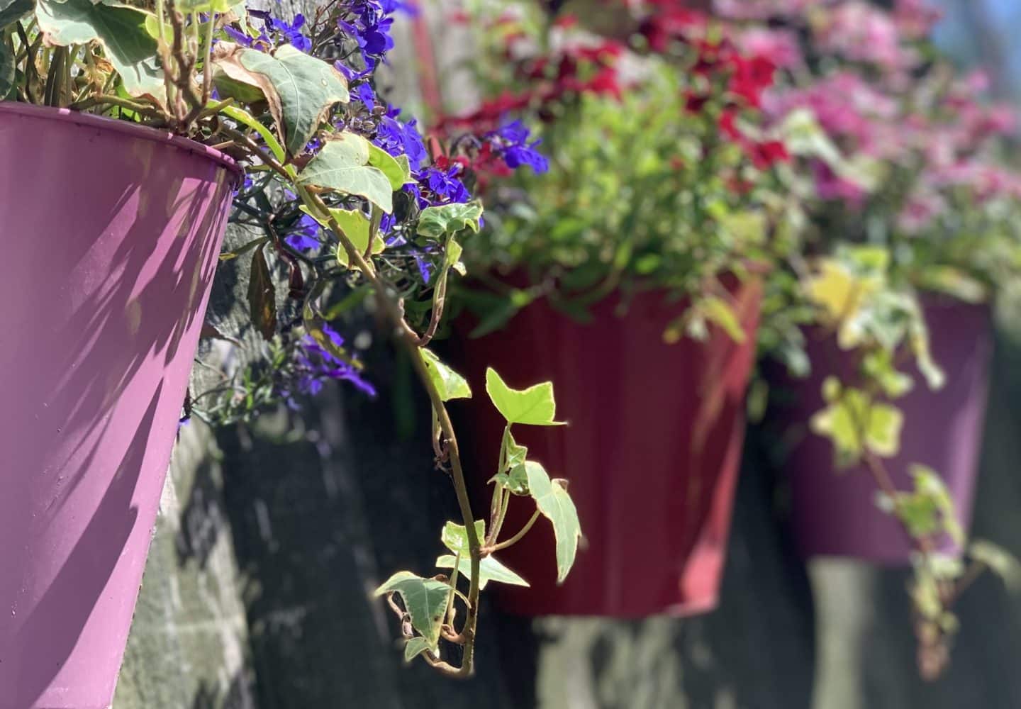 Bisbrooke: A Pretty Village in Rutland