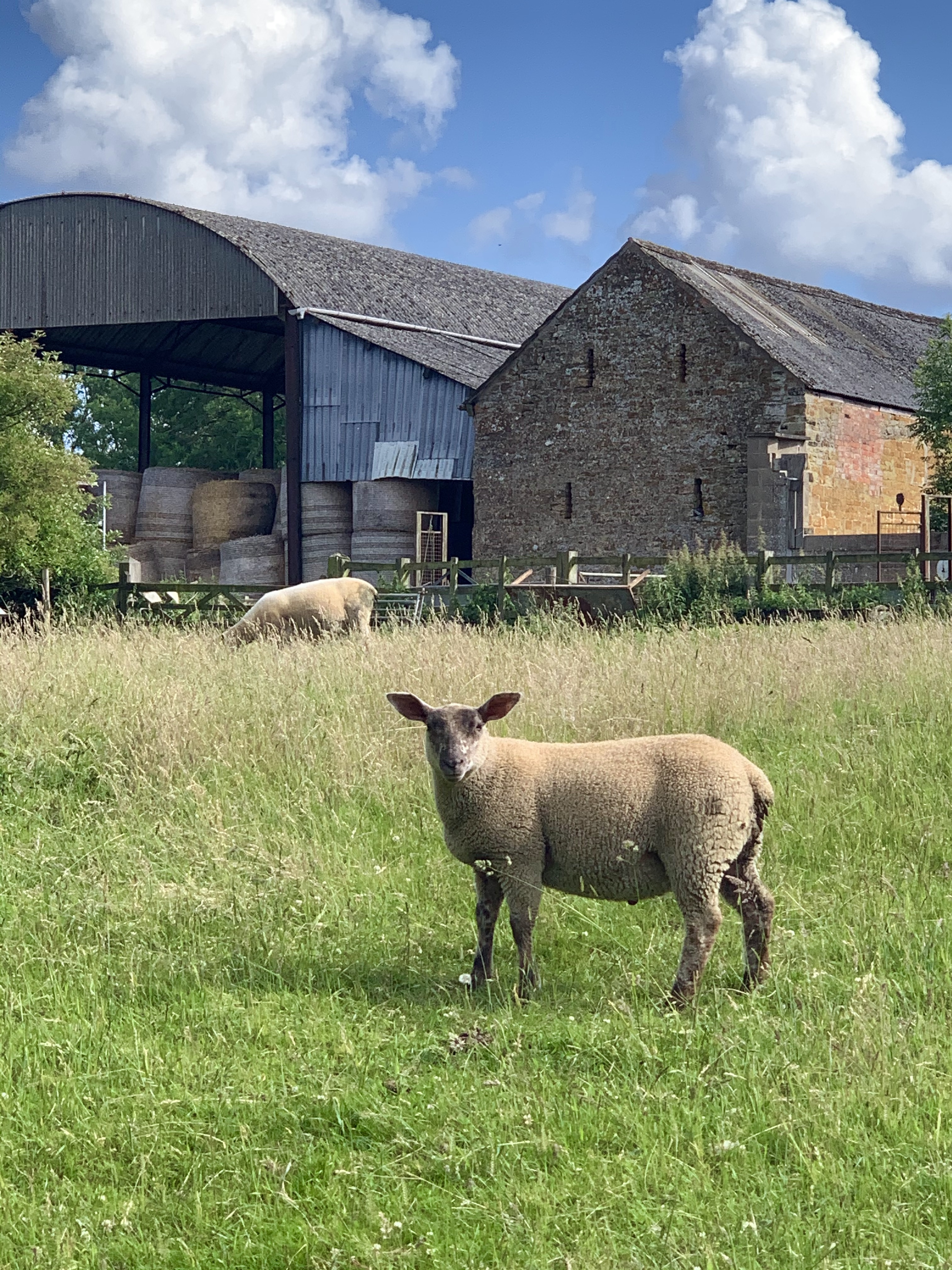 Bisbrooke: A Pretty Village in Rutland