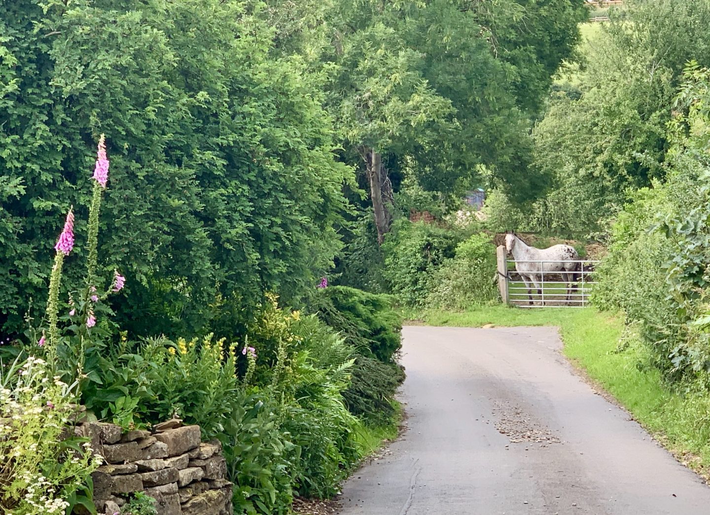 Bisbrooke: A Pretty Village in Rutland