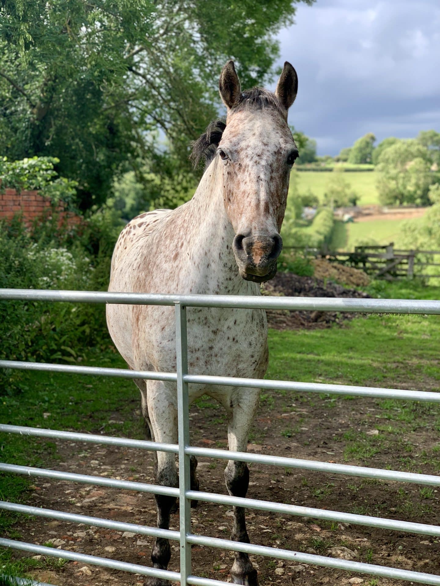 Bisbrooke: A Pretty Village in Rutland