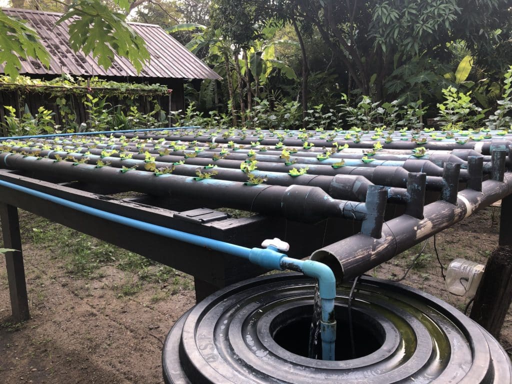 10 Luxury Eco-Friendly Hotels & Their Sustainability Practices