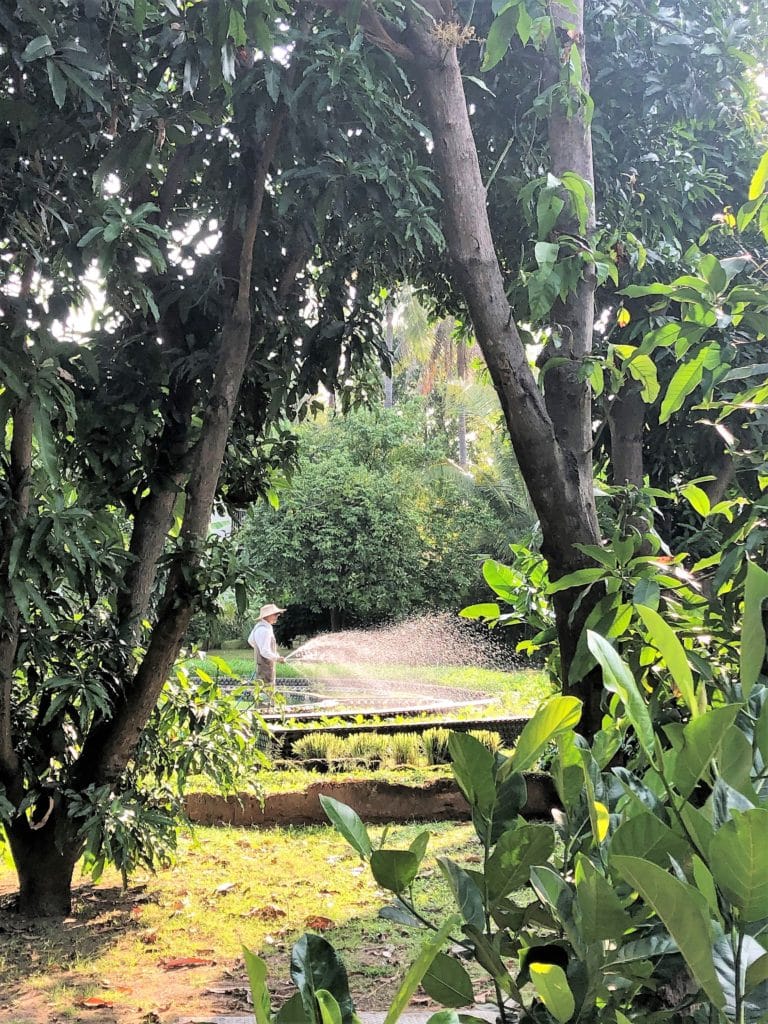 10 Luxury Eco-Friendly Hotels & Their Sustainability Practices