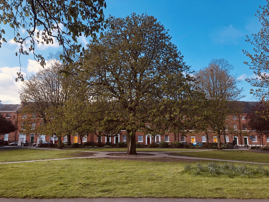 5 Historical Walks in Leicestershire: New Walk Tree