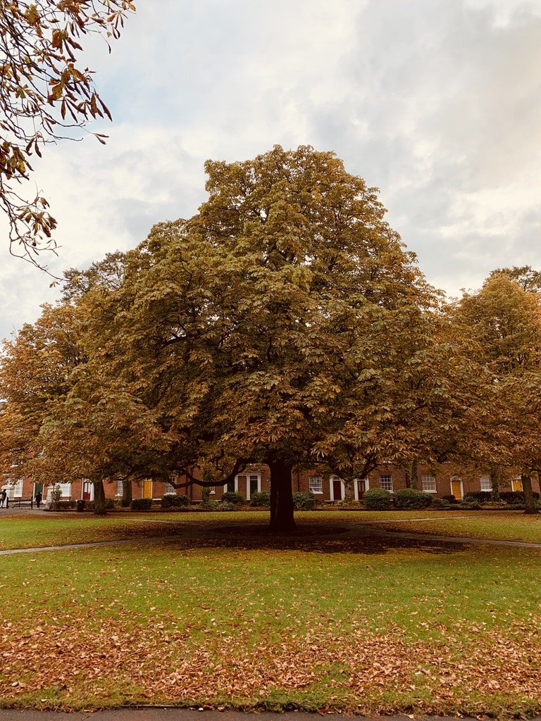 5 Historial Walks in Leicester