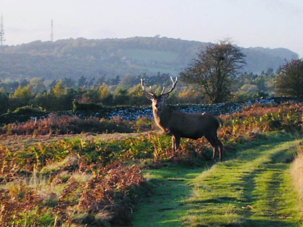 5 Historical Walks in Leicestershire