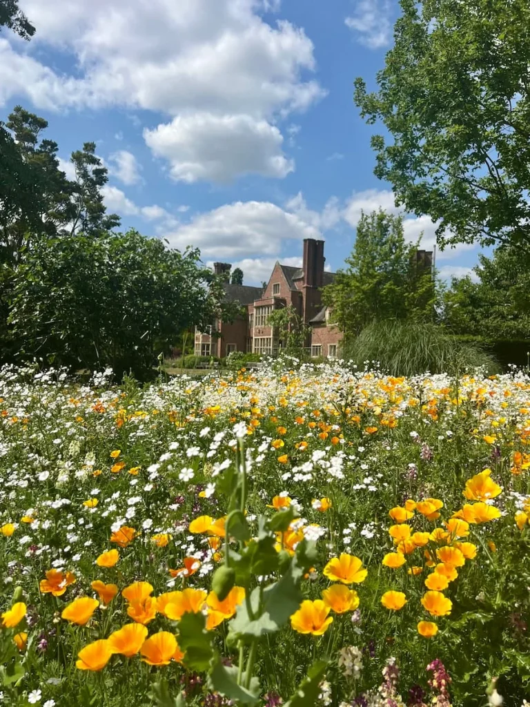 Manor House at Leicester Botanic Gardens with summer wild flower garden containing yellow, white, red and purple flowers with green foliage and the manor house in the background.