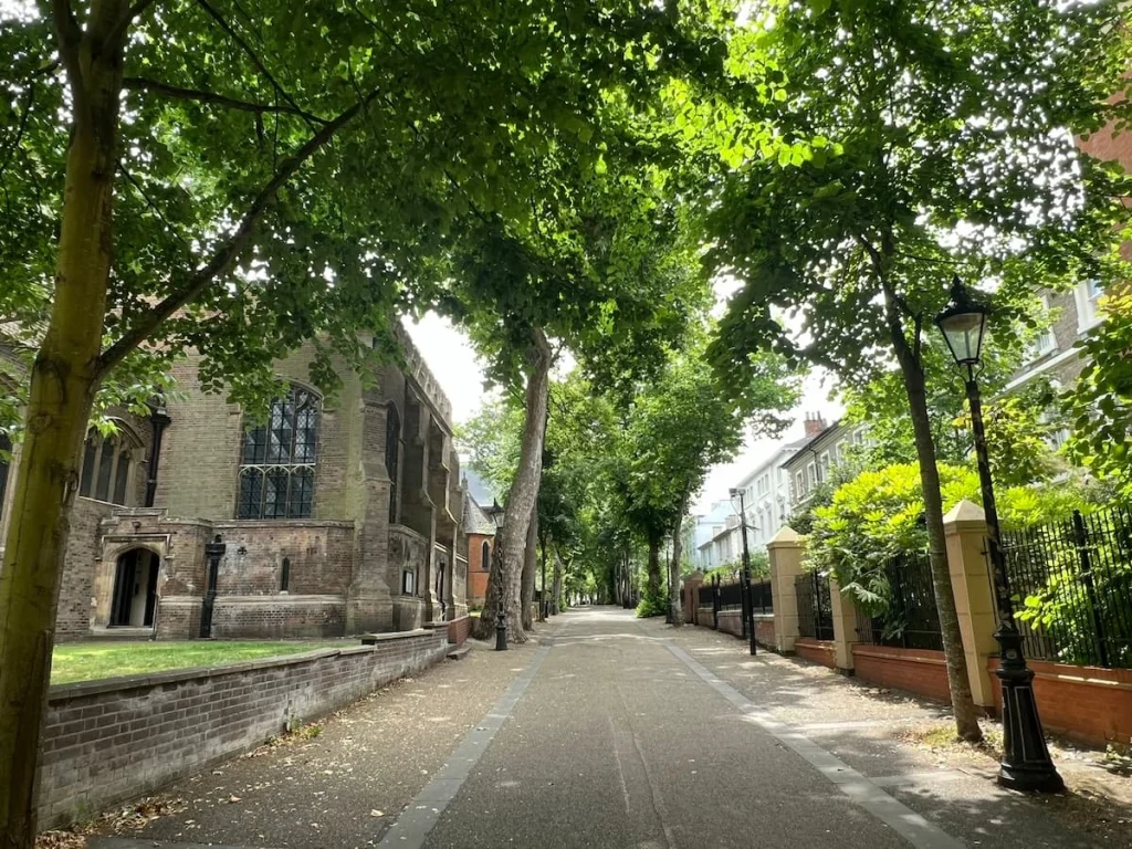 Tree lined New Walk, Leicester. The path in lined with trees on either side with three story buildings to the right and Holy Cross Roman Catholic Church to the left. There are also black Victorian lamps on either side of the path.