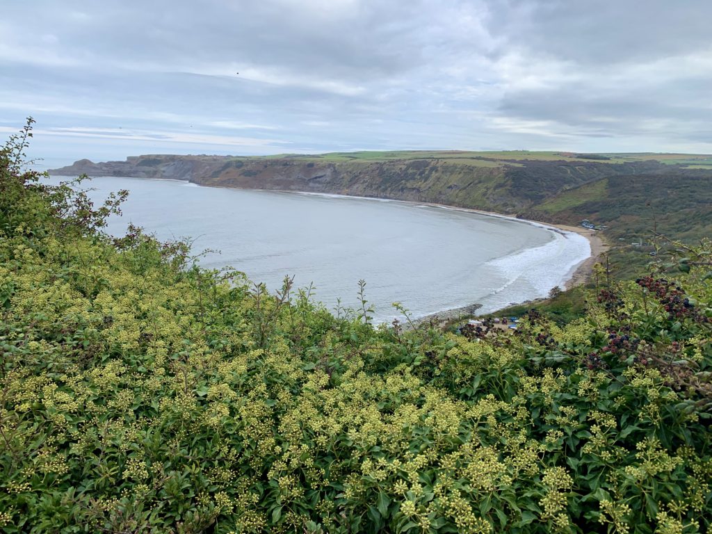 Sandsend Bay area with green bushes and foliage, with the sea and beach in the centre. There are lush green hills in the background