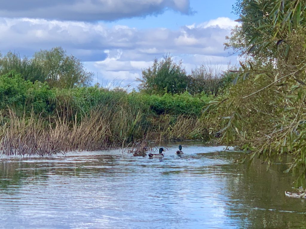 Kayaking along the River Soar, Leicestershire