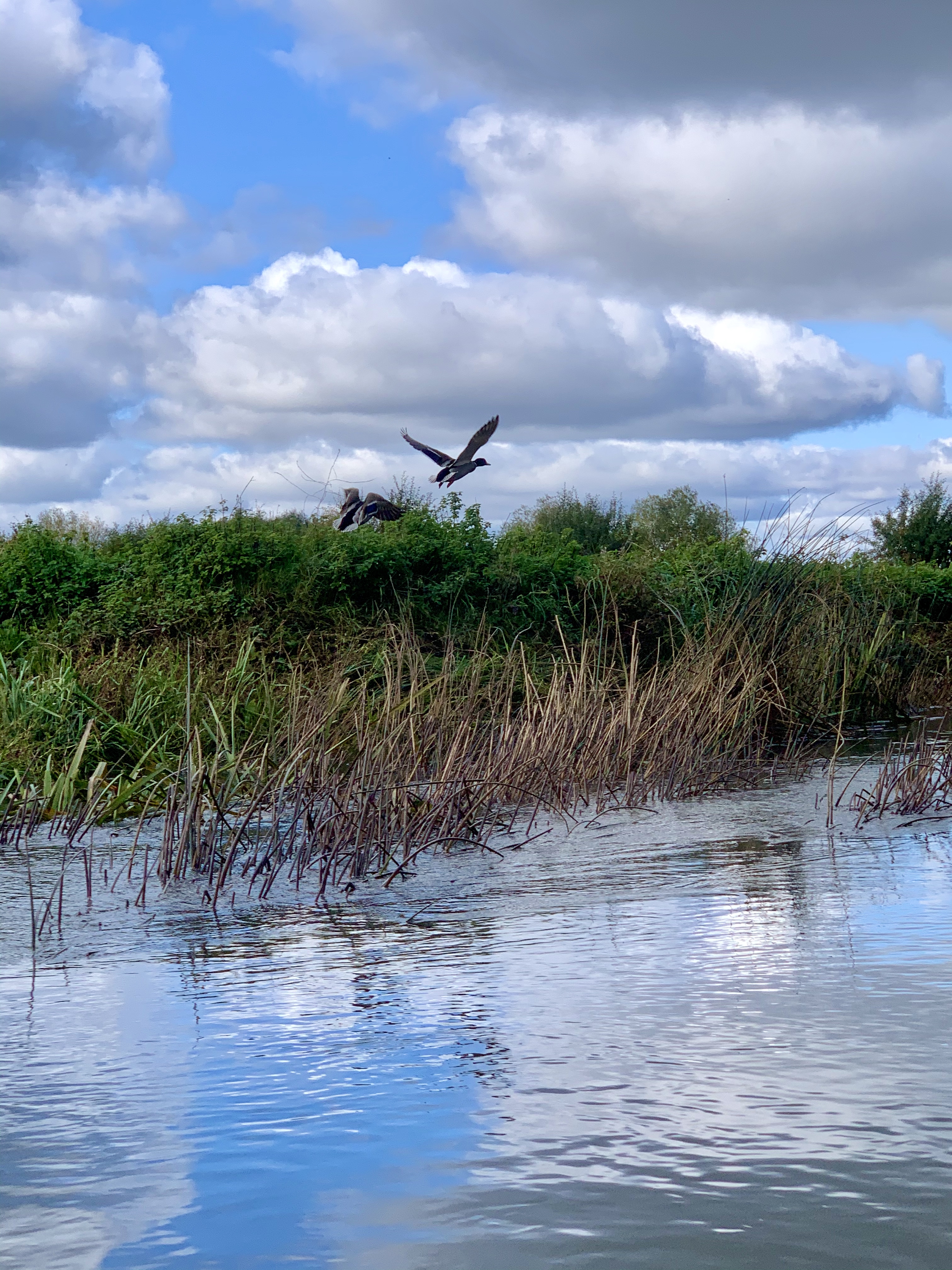 Outdoor adventure along the River Soar, Leicestershire