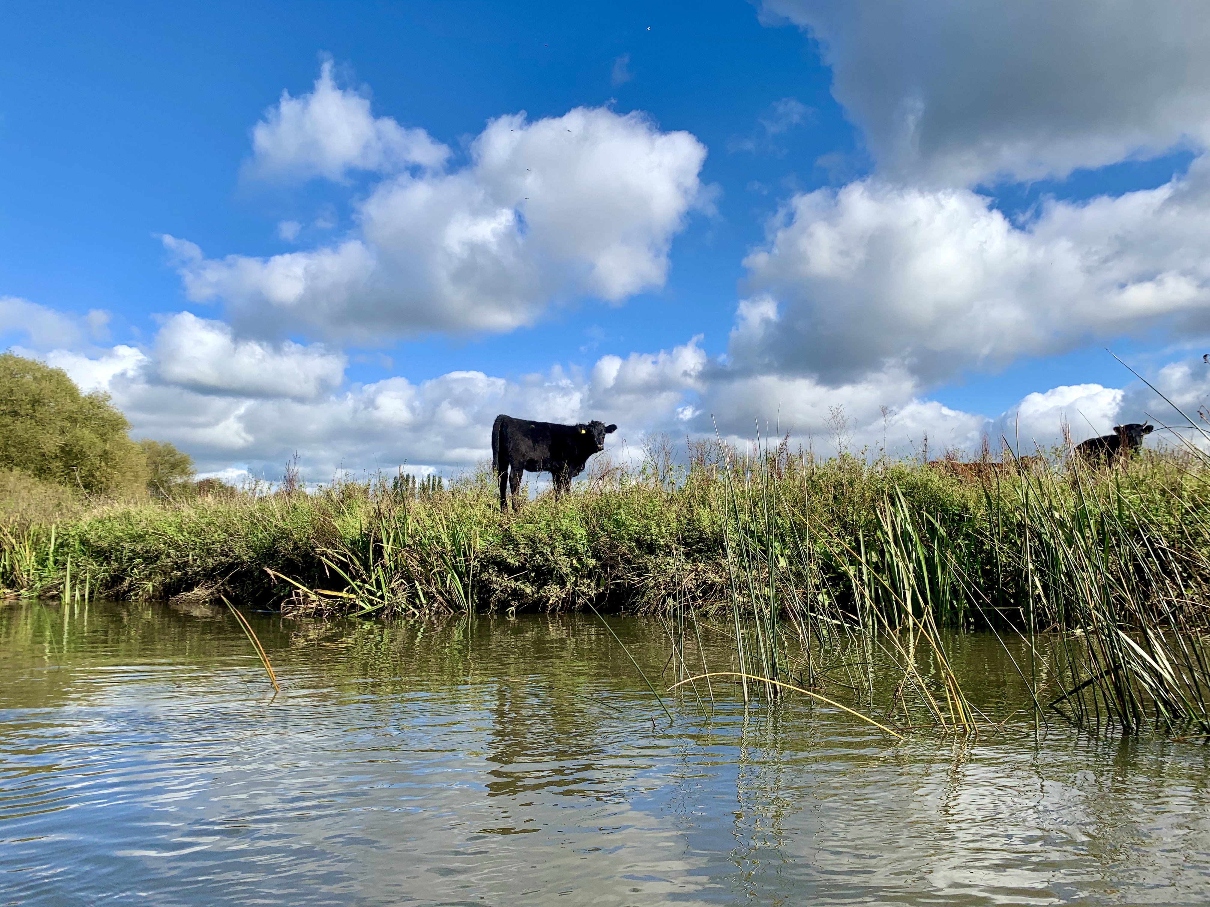 Kayaking along the River Soar, Leicestershire 