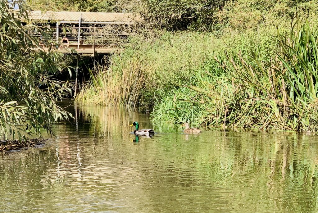 Outdoor adventure along the River Soar, Leicestershire