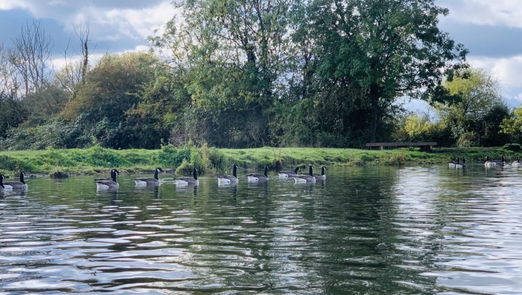 Outdoor adventure along the River Soar, Leicestershire