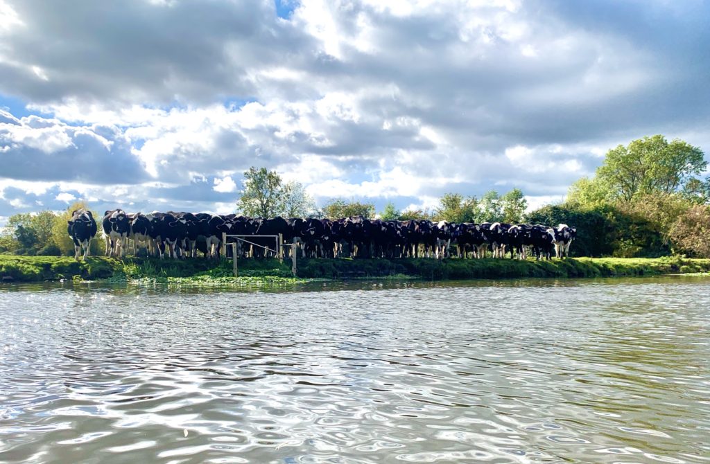 Kayaking along the River Soar, Leicestershire