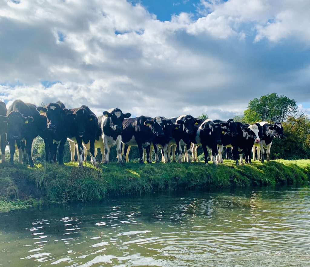 Outdoor adventure along the River Soar, Leicestershire