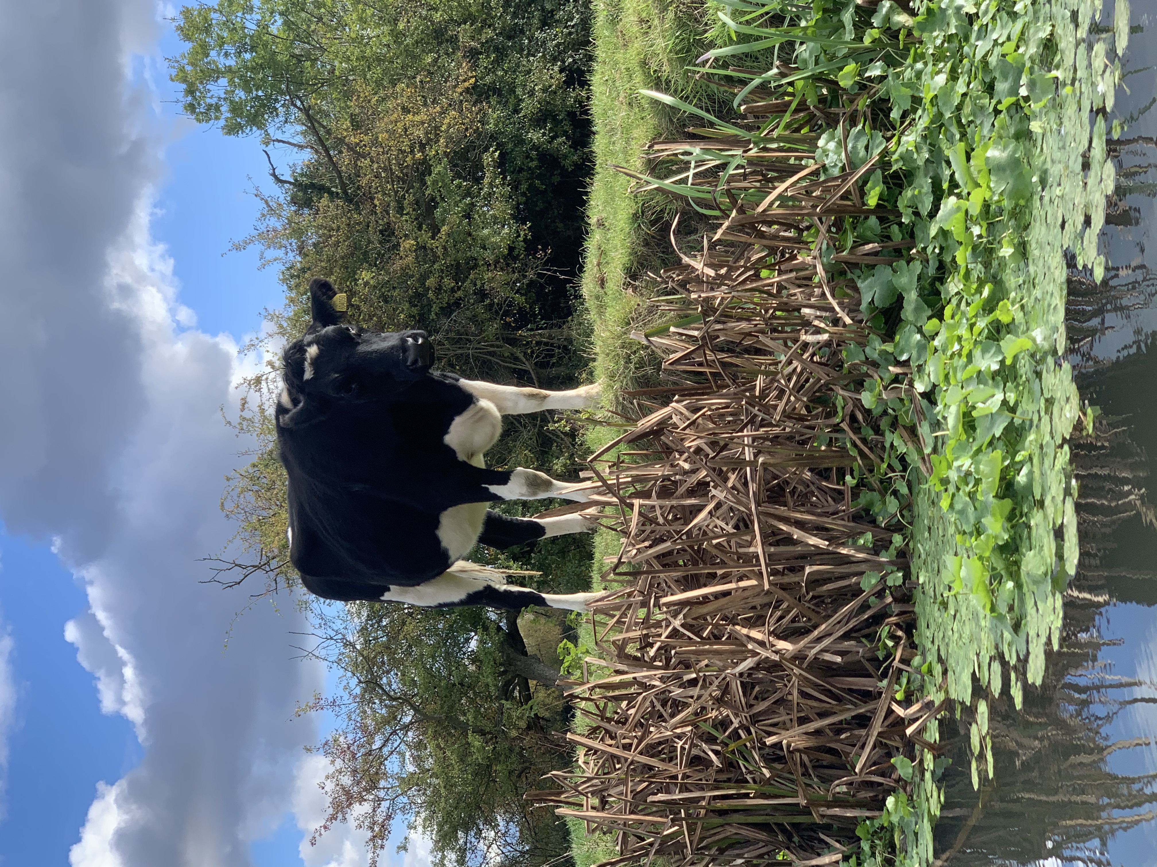 Kayaking along the River Soar, Leicestershire 