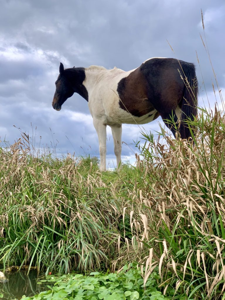 Kayaking along the River Soar, Leicestershire 