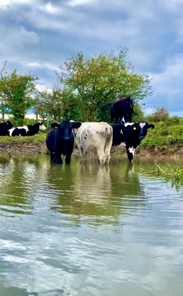 Kayaking along the River Soar, Leicestershire