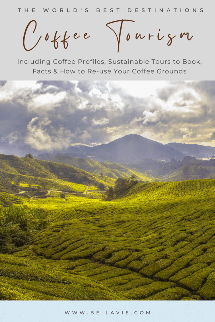 Coffee Plantation Pin